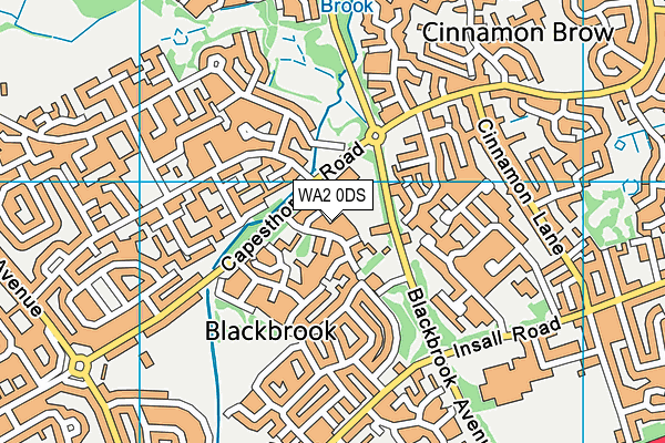 WA2 0DS map - OS VectorMap District (Ordnance Survey) WA2 0DS map - OS VectorMap District (Ordnance Survey)