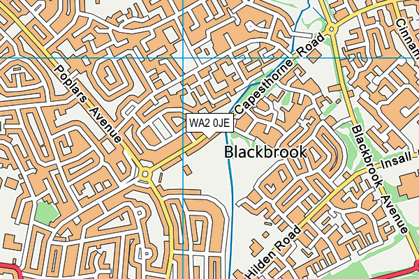 WA2 0JE map - OS VectorMap District (Ordnance Survey) WA2 0JE map - OS VectorMap District (Ordnance Survey)