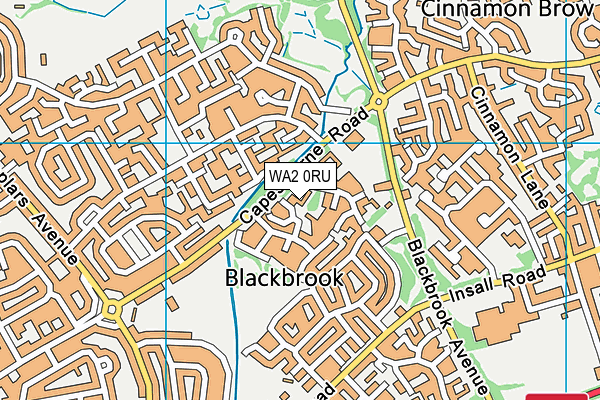 WA2 0RU map - OS VectorMap District (Ordnance Survey) WA2 0RU map - OS VectorMap District (Ordnance Survey)
