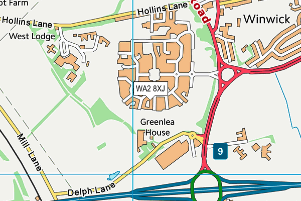 WA2 8XJ map - OS VectorMap District (Ordnance Survey) WA2 8XJ map - OS VectorMap District (Ordnance Survey)