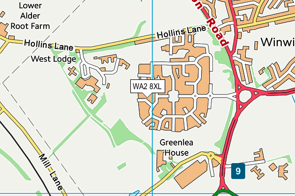 WA2 8XL map - OS VectorMap District (Ordnance Survey) WA2 8XL map - OS VectorMap District (Ordnance Survey)