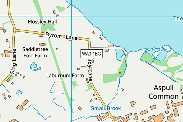 WA3 1BG map - OS VectorMap District (Ordnance Survey)