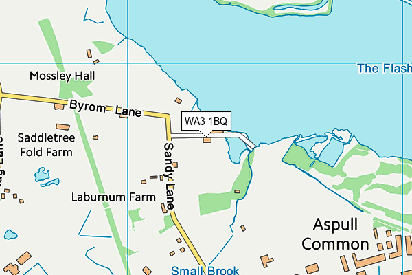 WA3 1BQ map - OS VectorMap District (Ordnance Survey) WA3 1BQ map - OS VectorMap District (Ordnance Survey)