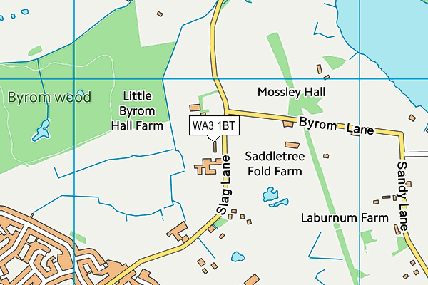 WA3 1BT map - OS VectorMap District (Ordnance Survey) WA3 1BT map - OS VectorMap District (Ordnance Survey)