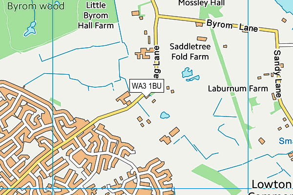 WA3 1BU map - OS VectorMap District (Ordnance Survey) WA3 1BU map - OS VectorMap District (Ordnance Survey)