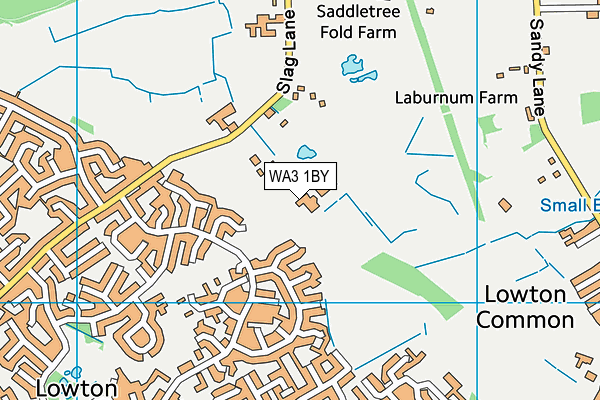 WA3 1BY map - OS VectorMap District (Ordnance Survey) WA3 1BY map - OS VectorMap District (Ordnance Survey)