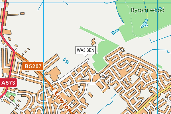 WA3 3EN map - OS VectorMap District (Ordnance Survey) WA3 3EN map - OS VectorMap District (Ordnance Survey)