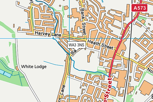 WA3 3NS map - OS VectorMap District (Ordnance Survey)
