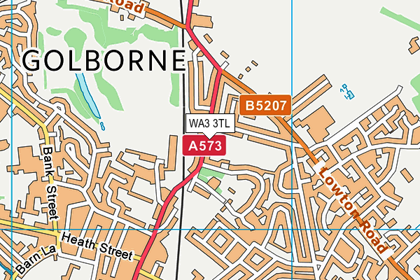 WA3 3TL map - OS VectorMap District (Ordnance Survey) WA3 3TL map - OS VectorMap District (Ordnance Survey)