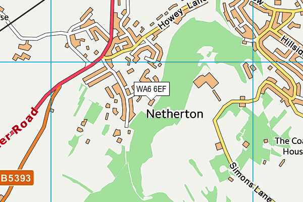 WA6 6EF map - OS VectorMap District (Ordnance Survey) WA6 6EF map - OS VectorMap District (Ordnance Survey)