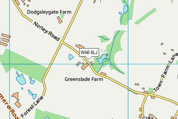 WA6 6LJ map - OS VectorMap District (Ordnance Survey) WA6 6LJ map - OS VectorMap District (Ordnance Survey)