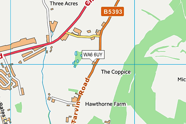 WA6 6UY map - OS VectorMap District (Ordnance Survey)