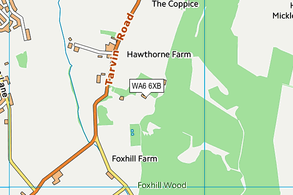 WA6 6XB map - OS VectorMap District (Ordnance Survey) WA6 6XB map - OS VectorMap District (Ordnance Survey)