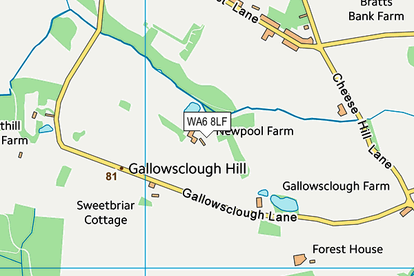 WA6 8LF map - OS VectorMap District (Ordnance Survey) WA6 8LF map - OS VectorMap District (Ordnance Survey)
