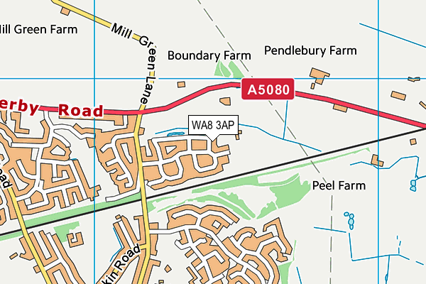 WA8 3AP map - OS VectorMap District (Ordnance Survey) WA8 3AP map - OS VectorMap District (Ordnance Survey)