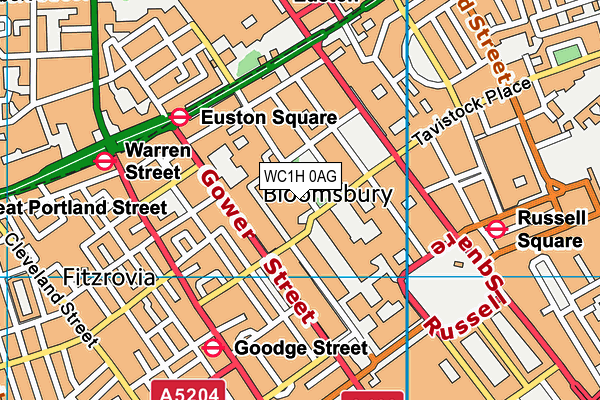 WC1H 0AG map - OS VectorMap District (Ordnance Survey) WC1H 0AG map - OS VectorMap District (Ordnance Survey)