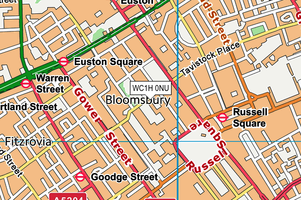 WC1H 0NU map - OS VectorMap District (Ordnance Survey) WC1H 0NU map - OS VectorMap District (Ordnance Survey)