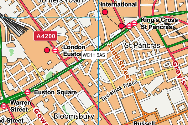 WC1H 9AS map - OS VectorMap District (Ordnance Survey) WC1H 9AS map - OS VectorMap District (Ordnance Survey)