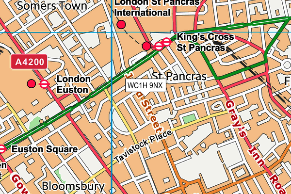WC1H 9NX map - OS VectorMap District (Ordnance Survey) WC1H 9NX map - OS VectorMap District (Ordnance Survey)