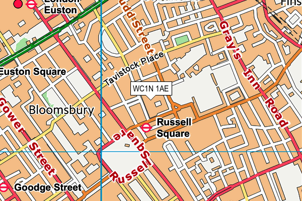 WC1N 1AE map - OS VectorMap District (Ordnance Survey) WC1N 1AE map - OS VectorMap District (Ordnance Survey)