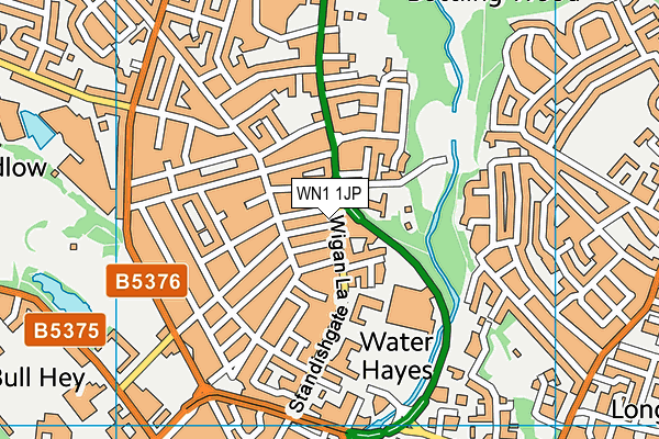WN1 1JP map - OS VectorMap District (Ordnance Survey)