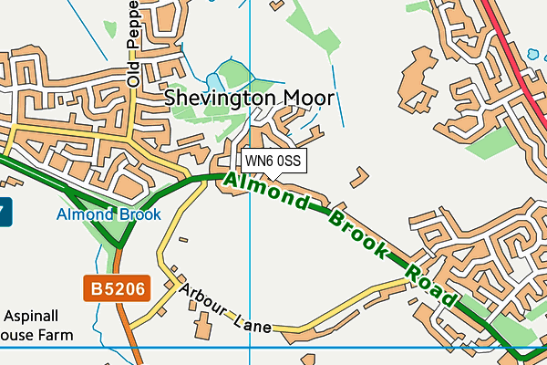 WN6 0SS map - OS VectorMap District (Ordnance Survey)