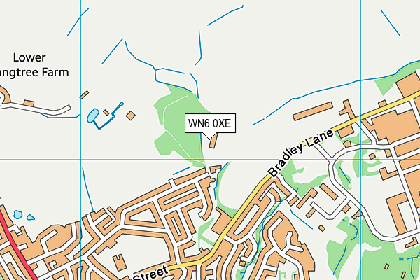 WN6 0XE map - OS VectorMap District (Ordnance Survey) WN6 0XE map - OS VectorMap District (Ordnance Survey)