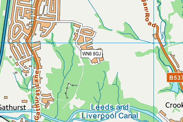 WN6 8GJ map - OS VectorMap District (Ordnance Survey)