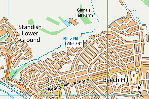 WN6 8NT map - OS VectorMap District (Ordnance Survey)