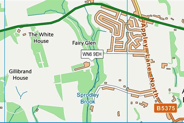 WN6 9EH map - OS VectorMap District (Ordnance Survey) WN6 9EH map - OS VectorMap District (Ordnance Survey)