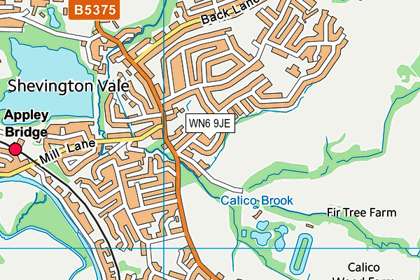WN6 9JE map - OS VectorMap District (Ordnance Survey) WN6 9JE map - OS VectorMap District (Ordnance Survey)