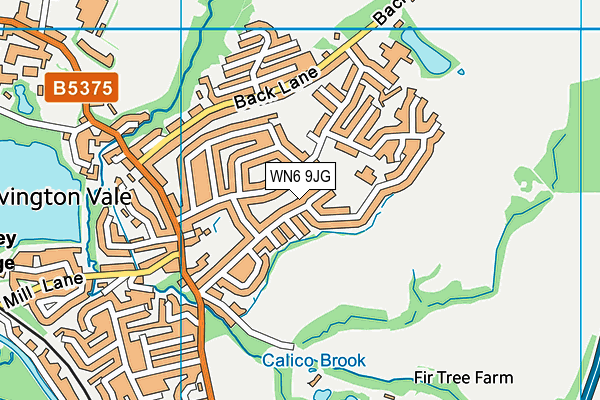 WN6 9JG map - OS VectorMap District (Ordnance Survey)