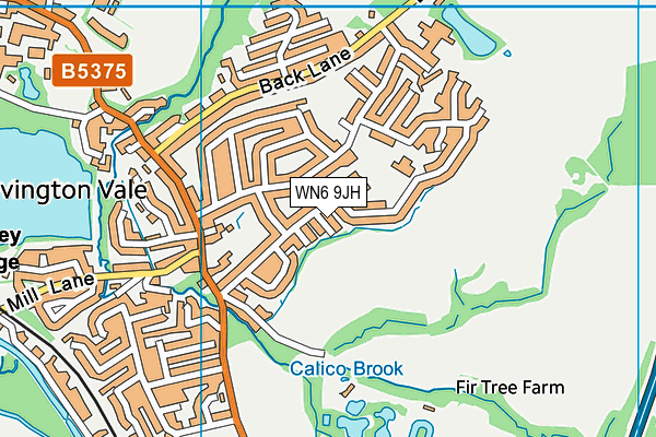 WN6 9JH map - OS VectorMap District (Ordnance Survey) WN6 9JH map - OS VectorMap District (Ordnance Survey)