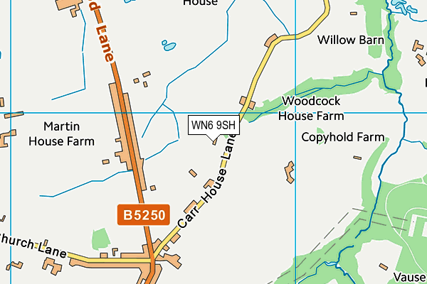 WN6 9SH map - OS VectorMap District (Ordnance Survey)