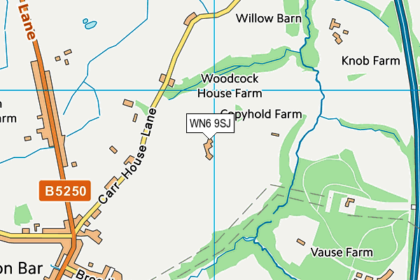 WN6 9SJ map - OS VectorMap District (Ordnance Survey) WN6 9SJ map - OS VectorMap District (Ordnance Survey)