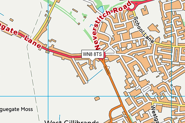 WN8 8TS map - OS VectorMap District (Ordnance Survey) WN8 8TS map - OS VectorMap District (Ordnance Survey)