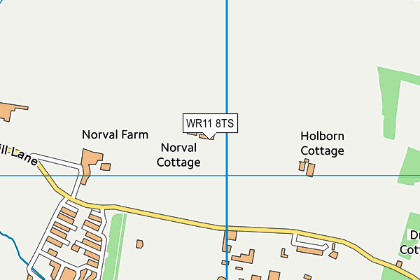 WR11 8TS map - OS VectorMap District (Ordnance Survey) WR11 8TS map - OS VectorMap District (Ordnance Survey)