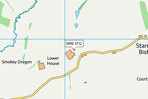 WR6 5TQ map - OS VectorMap District (Ordnance Survey) WR6 5TQ map - OS VectorMap District (Ordnance Survey)