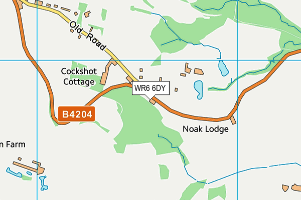 WR6 6DY map - OS VectorMap District (Ordnance Survey) WR6 6DY map - OS VectorMap District (Ordnance Survey)