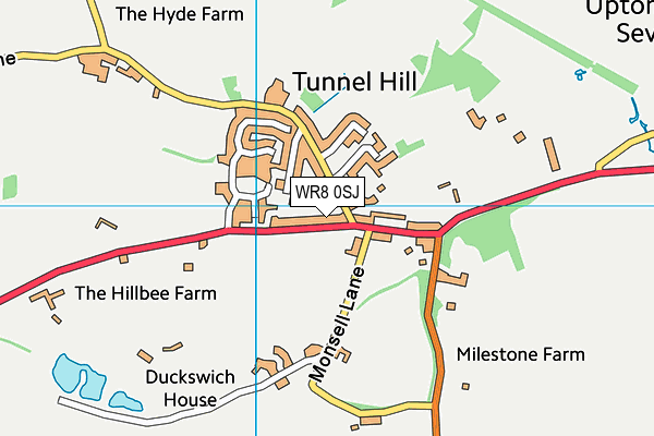 WR8 0SJ map - OS VectorMap District (Ordnance Survey) WR8 0SJ map - OS VectorMap District (Ordnance Survey)