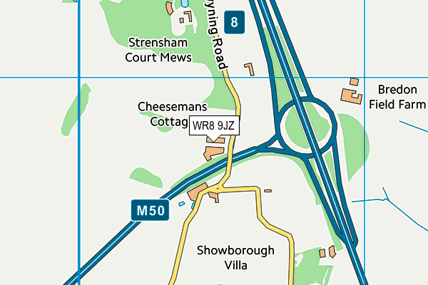 WR8 9JZ map - OS VectorMap District (Ordnance Survey)
