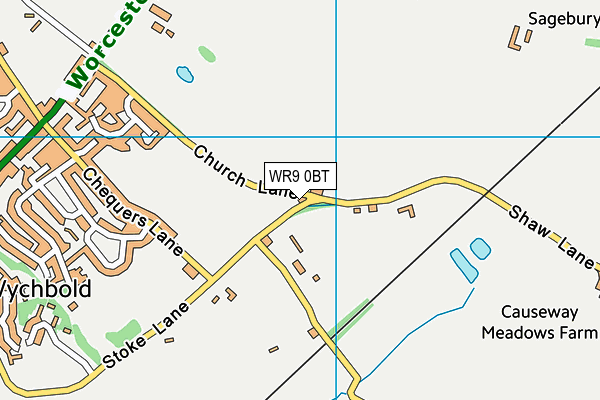 WR9 0BT map - OS VectorMap District (Ordnance Survey) WR9 0BT map - OS VectorMap District (Ordnance Survey)