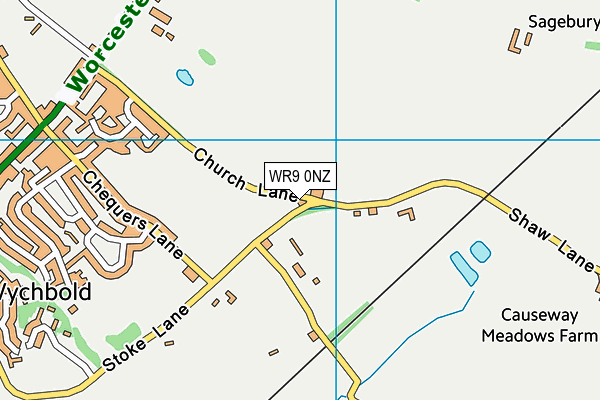 WR9 0NZ map - OS VectorMap District (Ordnance Survey) WR9 0NZ map - OS VectorMap District (Ordnance Survey)