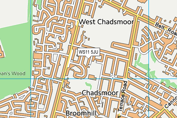 WS11 5JU map - OS VectorMap District (Ordnance Survey) WS11 5JU map - OS VectorMap District (Ordnance Survey)