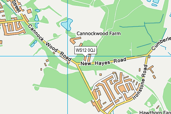 WS12 0QJ map - OS VectorMap District (Ordnance Survey) WS12 0QJ map - OS VectorMap District (Ordnance Survey)