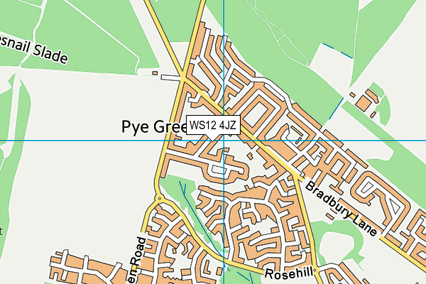WS12 4JZ map - OS VectorMap District (Ordnance Survey) WS12 4JZ map - OS VectorMap District (Ordnance Survey)