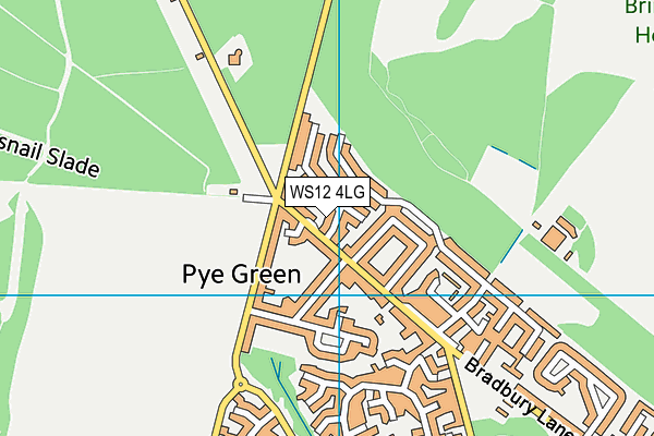 WS12 4LG map - OS VectorMap District (Ordnance Survey) WS12 4LG map - OS VectorMap District (Ordnance Survey)