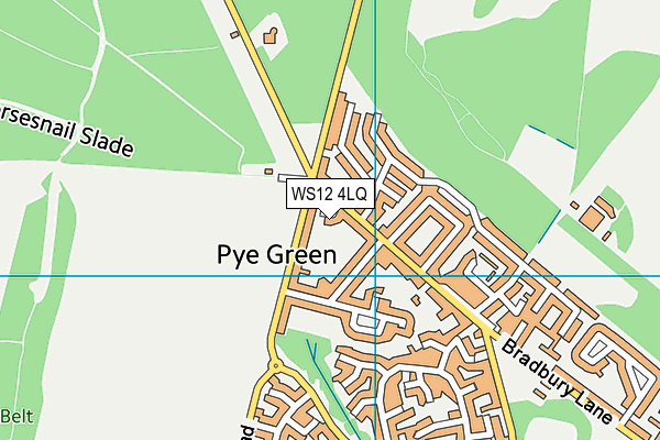 WS12 4LQ map - OS VectorMap District (Ordnance Survey) WS12 4LQ map - OS VectorMap District (Ordnance Survey)