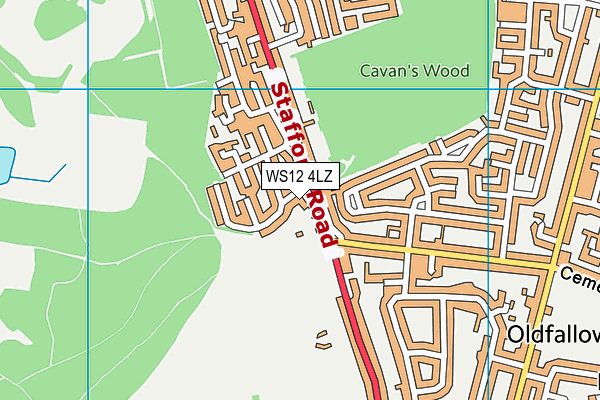 WS12 4LZ map - OS VectorMap District (Ordnance Survey) WS12 4LZ map - OS VectorMap District (Ordnance Survey)