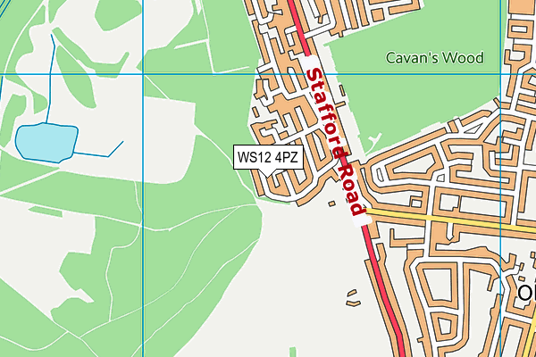 WS12 4PZ map - OS VectorMap District (Ordnance Survey) WS12 4PZ map - OS VectorMap District (Ordnance Survey)